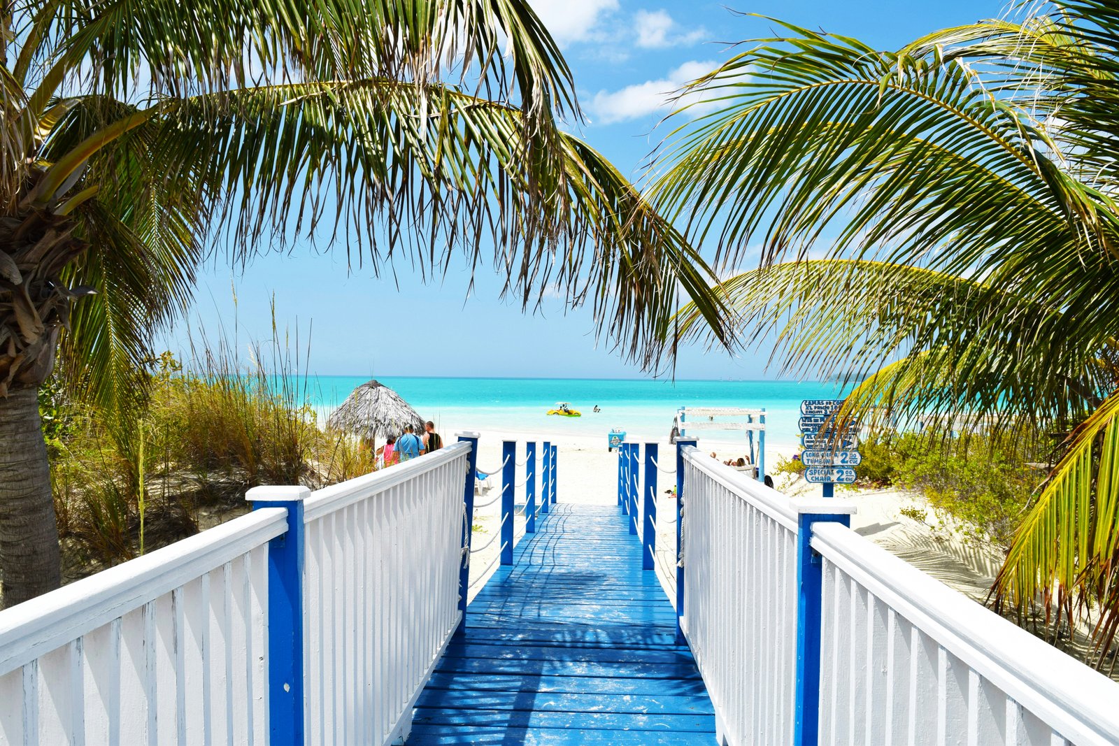 blue and white wooden bride near ocean